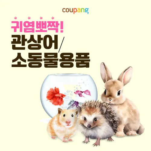반려동물용품, 관상어소동물 용품