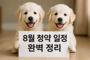 8월 청약 일정 완벽 정리