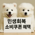 민생회복 소비쿠폰 혜택