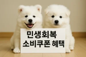 민생회복 소비쿠폰 혜택