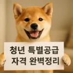 청년 특별공급 자격 완벽정리 청년 특별공급 자격 완벽정리
